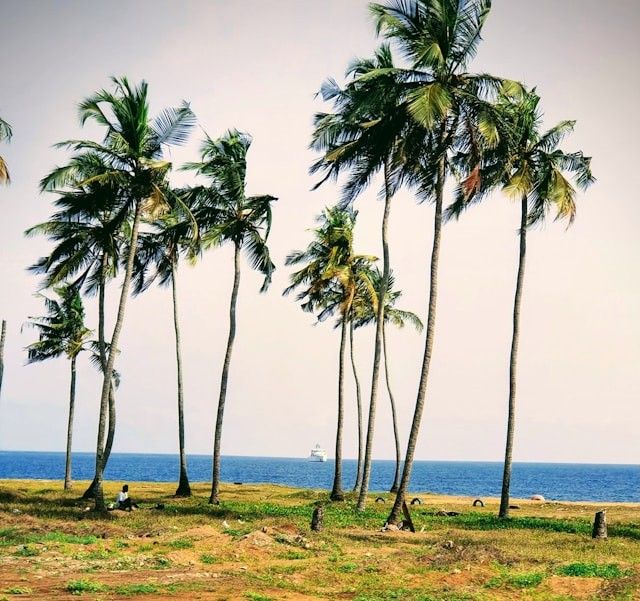 blog image