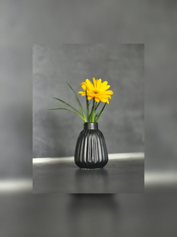 cArea Image